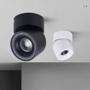 Free Sample Indoor Decoration Home Aluminum Surface Mounted 10W COB LED Downlight With Driver
