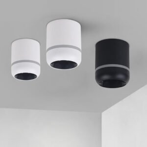 Popular Style Lighting 10w Aluminum Trimless Recessed Down Light For Hotel Led Down Light