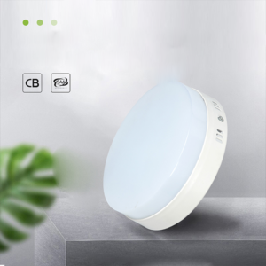 Factory Direct Sale Indoor Shopping Mall 12W 18W 24W 36W 48W Aluminum PC SMD Round Surface Mounted Down Lights With Driver