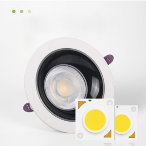 New Product COB Chip Indoor Hotel Hallway Office Decoration Angle Adjustable LED Down Light With Driver