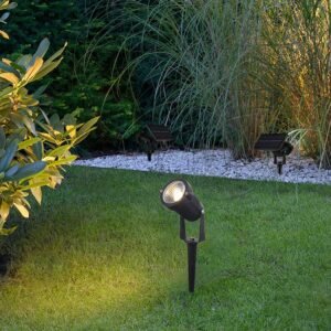 Energy-Efficient Ground Stand Light – Brighten Your Outdoors